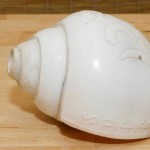 Conch-Big