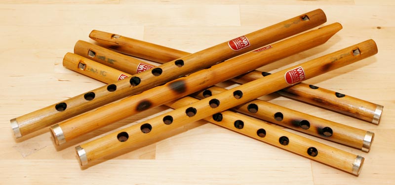 Indian Bamboo Flute | Sangitamiya: The Nectar Music