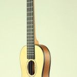 Travel Uke Angle
