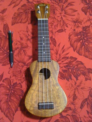 Pocket Ukulele